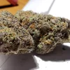 Zkittlez